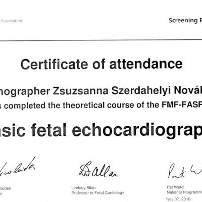 Certificate Of Attendance Basic Fetal Echocardiography 2010