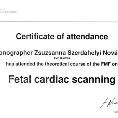 Certificate Of Attendance Fetal Cardiac Scanning 2010