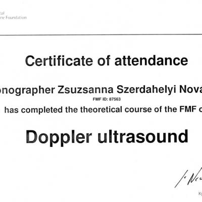 Certificate Of Attendance Doppler Ultrasound 2010