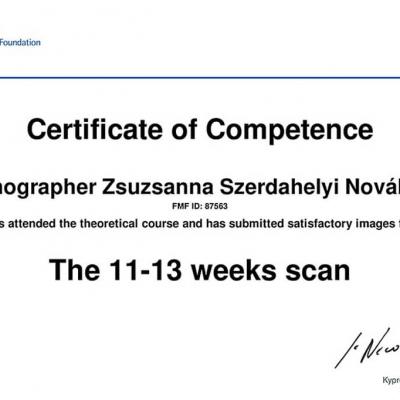 Zsuzsa Certificate Of Competence The 11 13 Weeks Scan 2010